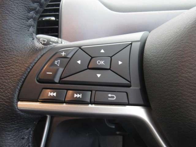 セレナ ２．０　ハイウェイスター　Ｖ　１０インチナビ／後席モニタ－／プロパイ／アラビ　アラウンドビュ－　１オナ　アルミ　衝突被害軽減　ＬＤＰ　エアバッグ　両側オートスライドドア　ＬＥＤライト　インテリジェントキー　点検記録簿　サイドカメラ　メモリーナビ　アダプティブクルーズコントロール（19枚目）