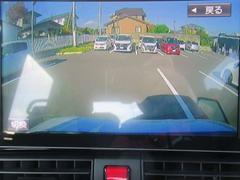 ɥ饤֥쥳αʥӤ˼̤ޤ 4