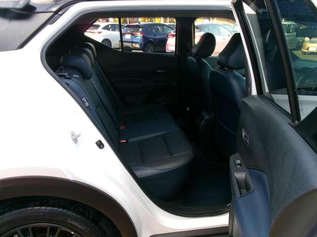 �h�A�J�������傫���J���A�����L�X���������܂��B