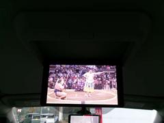 �����緿����˥��������ʤǤ�������Ǥ������ڤ���ޤ��� 5