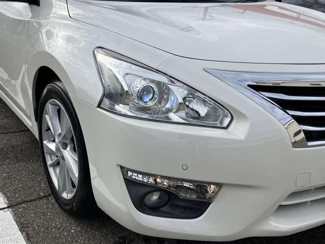 �L�Z�m���w�b�h���C�g