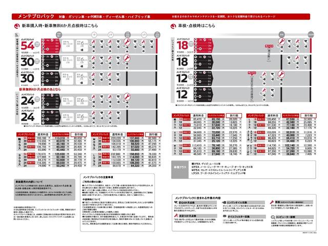 デイズルークス ハイウェイスター　Ｘターボ　アラウンドモニタ　Ｉ－ＳＴＯＰ　踏み間違え防止　ＬＥＤ　フルオートエアコン　盗難防止システム　Ｂカメラ　アルミ　サイドカメラ　パワーウィンドウ　４ＷＤ　パワステ　ナビＴＶ　メモリーナビ　ＡＢＳ（28枚目）