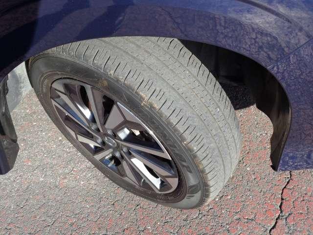 セレナ ２．０　ハイウェイスター　Ｖ　プロパイロット　後席モニター　ドラレコ　地デジ　三列シート　ＬＥＤランプ　ハイビームアシスト　ワンオーナー車　レーダークルコン　ＬＫＡ　盗難防止装置　サイドエアバッグ　パワーウインドウ　ＥＴＣ　アルミ（18枚目）