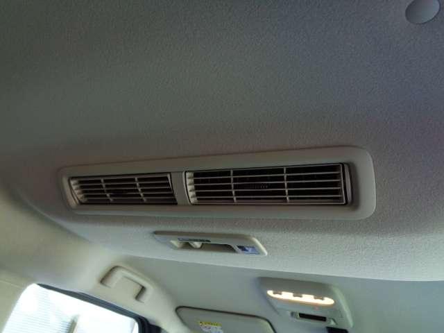 �����V�[�����O�t�@�������Ŏ����̋�C�̏z��ǂ����Ă���܂�