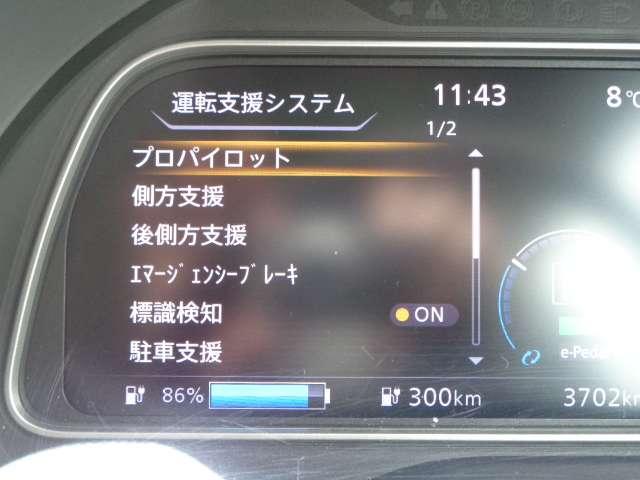 リーフ ｅ＋　Ｇ　メーカーナビ　エマブレ　レーンキープアシスト　禁煙　フルセグＴＶ　レザーシート　サイドエアバッグ　ドラレコ　レーダークルーズ　ＥＴＣ　ワンオーナー　パーキングサポート　寒冷地　バックカメラ　記録簿（9枚目）