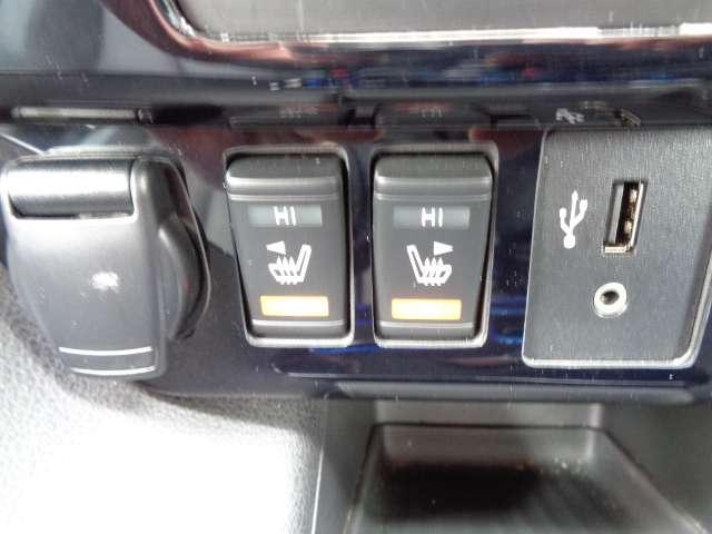 リーフ ｅ＋　Ｇ　メーカーナビ　エマブレ　レーンキープアシスト　禁煙　フルセグＴＶ　レザーシート　サイドエアバッグ　ドラレコ　レーダークルーズ　ＥＴＣ　ワンオーナー　パーキングサポート　寒冷地　バックカメラ　記録簿（13枚目）