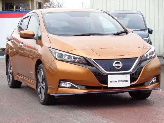 リーフ ｅ＋　Ｇ　メーカーナビ　エマブレ　レーンキープアシスト　禁煙　フルセグＴＶ　レザーシート　サイドエアバッグ　ドラレコ　レーダークルーズ　ＥＴＣ　ワンオーナー　パーキングサポート　寒冷地　バックカメラ　記録簿（28枚目）