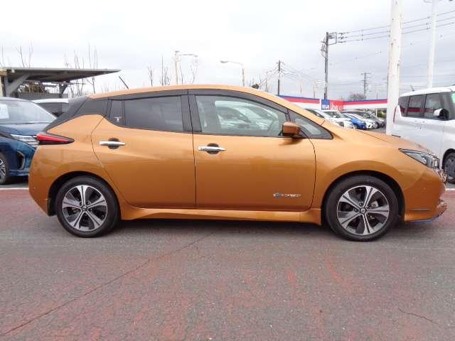 リーフ ｅ＋　Ｇ　メーカーナビ　エマブレ　レーンキープアシスト　禁煙　フルセグＴＶ　レザーシート　サイドエアバッグ　ドラレコ　レーダークルーズ　ＥＴＣ　ワンオーナー　パーキングサポート　寒冷地　バックカメラ　記録簿（29枚目）