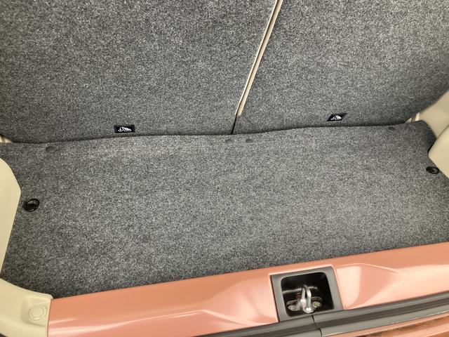 アルトラパン Ｇ　４型（30枚目）