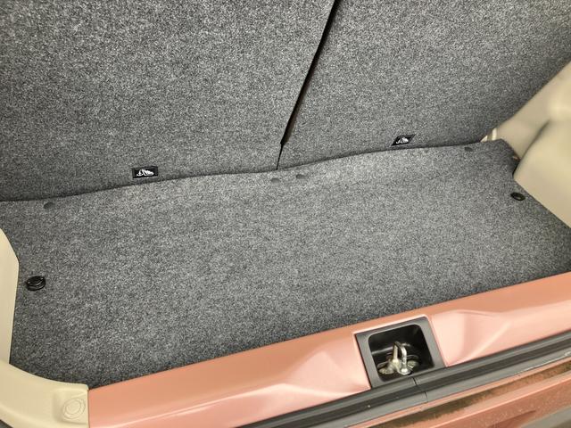 アルトラパンＬＣ ＬＣ　Ｘ　４型（32枚目）