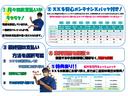 ＨＹＢＲＩＤ　Ｓ　２型（43枚目）