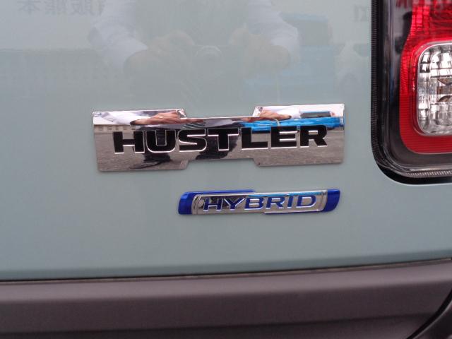 ハスラー タフワイルド　３型（14枚目）