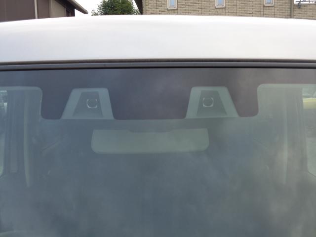 ハスラー タフワイルド　３型（9枚目）