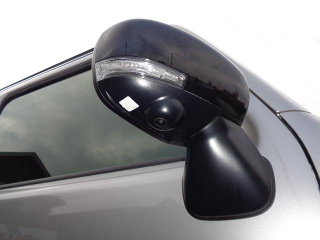 ハスラー タフワイルド　３型（13枚目）