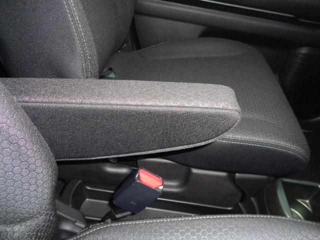 ハスラー タフワイルド　３型（41枚目）