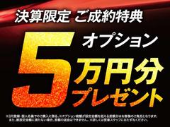 �軻���ꡪ�����ץ��������ʬ�ץ쥼��� 2