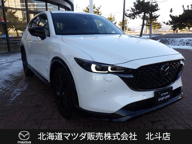 CX-5 XD スポーツアピアランス サンルーフ ナビ 360モニター BOSE 地デジ(3枚目)