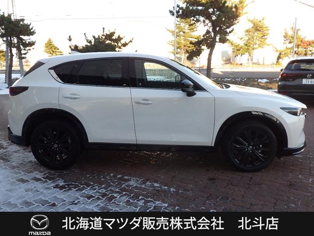 CX-5 XD スポーツアピアランス サンルーフ ナビ 360モニター BOSE 地デジ(4枚目)