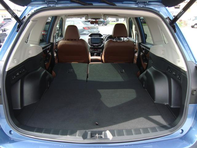 フォレスター Advance EyeSight搭載車 ナビ バックカメラ サイドカメラ レーンアシスト クルーズコントロール X-MODE 電動リヤゲート シートヒーター シートポジション記憶 スマートキー CD・DVD再生(48枚目)