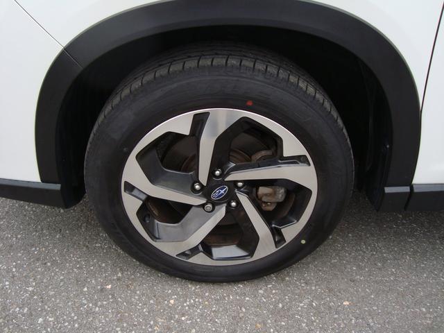 フォレスター アドバンス(10枚目)