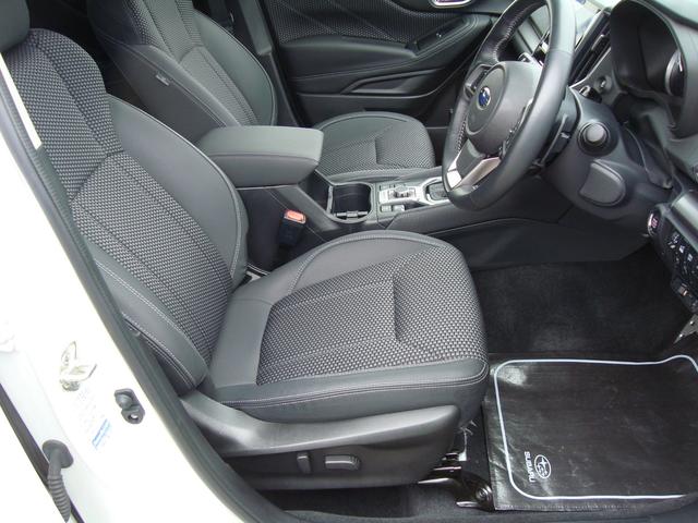 フォレスター アドバンス(16枚目)