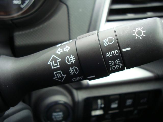 フォレスター アドバンス(21枚目)