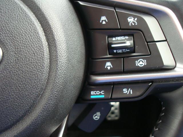 フォレスター アドバンス(22枚目)