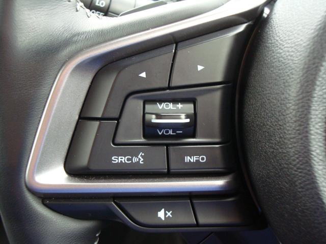 フォレスター アドバンス(23枚目)