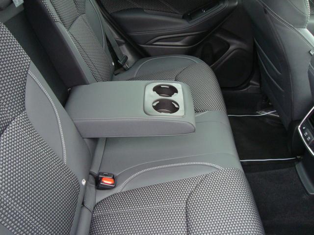 フォレスター アドバンス(43枚目)