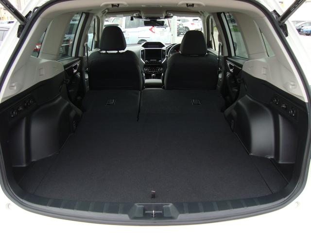 フォレスター アドバンス(46枚目)