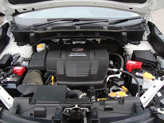 フォレスター アドバンス(54枚目)