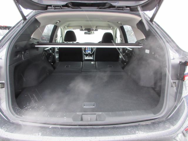 レヴォーグ ＧＴ－Ｈ　ＥＸ　ＥｙｅＳｉｇｈｔ　Ｘ搭載車（47枚目）