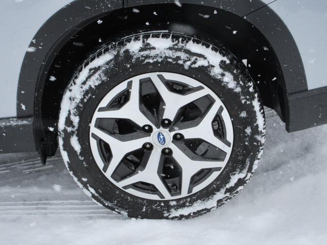 フォレスター Ｔｏｕｒｉｎｇ　ＥｙｅＳｉｇｈｔ搭載車（9枚目）