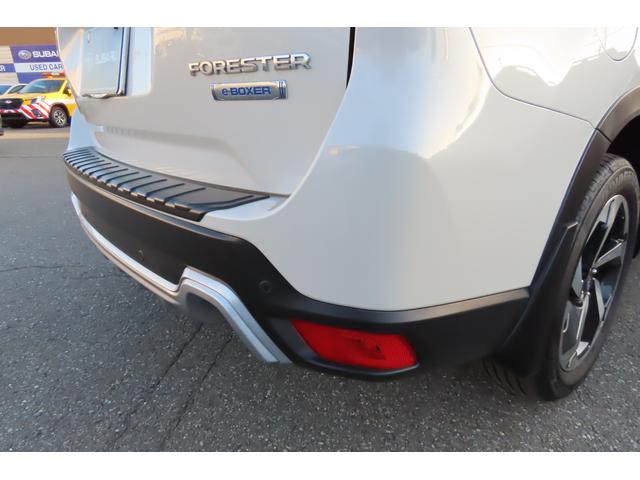 フォレスター アドバンス ルーフレール ダイアトーンナビ バックカメラ フォレスターアドバンス、X-MODE、ヒルディセントコントロール、アイサイトVer3.0、パワーリアゲート、ルーフレール、サイドビューカメラ、フロントグリル、スマートリアビューモニター、(28枚目)