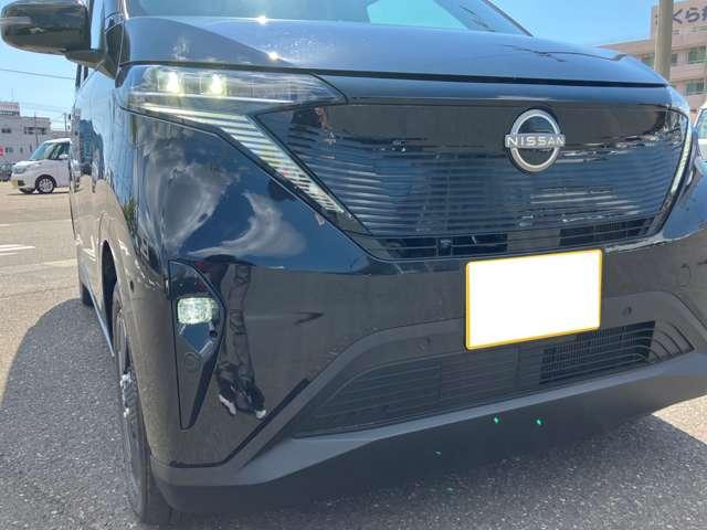 サクラ Ｘ（16枚目）