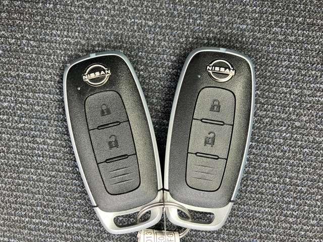 �C���e���W�F���g�L�[�������o�����ƂȂ��J���E�{�����ł��܂��B