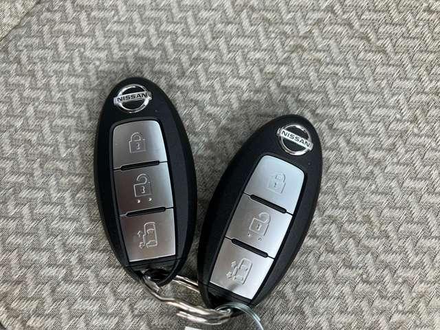 �C���e���W�F���g�L�[�������o�����ƂȂ��J���E�{�����ł��܂��B