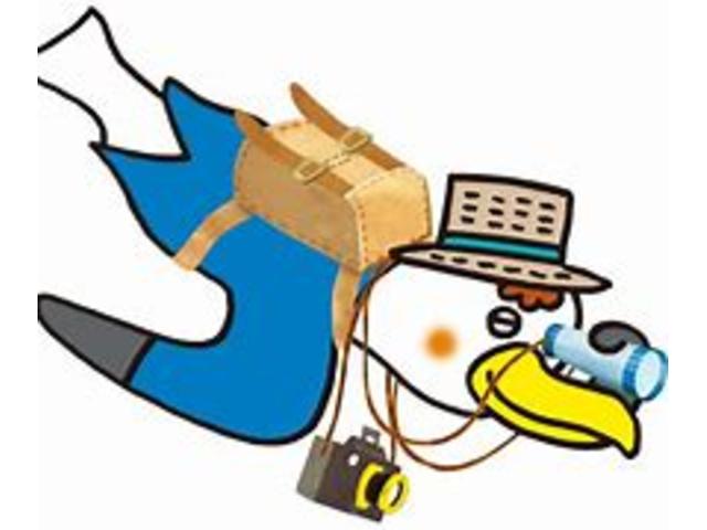 アルト ＨＹＢＲＩＤ　Ｘ　３型　衝突軽減ブレーキ　全方位カメラ　オートライト　プッシュスタート　スズキセーフティーサポート　衝突被害軽減システム　　アイドリングストップ　衝突安全ボディ　盗難防止システム（33枚目）