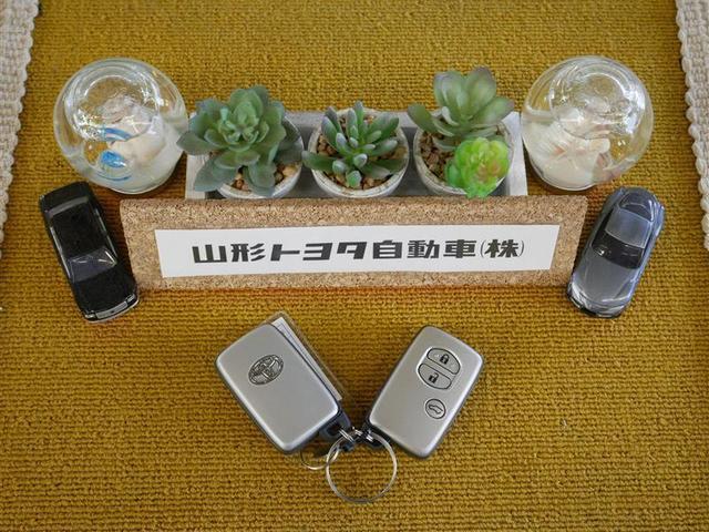 TX 4WD フルセグ メモリーナビ DVD再生 後席モニター バックカメラ ETC LEDヘッドランプ ワンオーナー ディーゼル(19枚目)