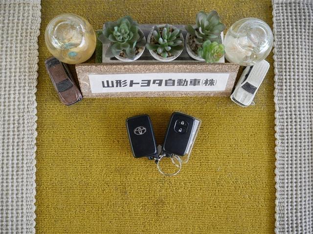 プリウス Ｇ　フルセグ　メモリーナビ　ＤＶＤ再生　バックカメラ　ＥＴＣ　ＨＩＤヘッドライト　ワンオーナー（30枚目）