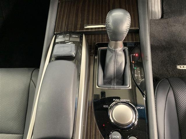 GS GS300h Iパッケージ 革シート フルセグ メモリーナビ DVD再生 ミュージックプレイヤー接続可 バックカメラ 衝突被害軽減システム ETC LEDヘッドランプ ワンオーナー(31枚目)