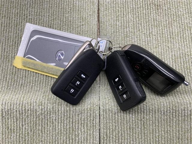 GS GS300h Fスポーツ 革シート フルセグ HDDナビ DVD再生 ミュージックプレイヤー接続可 バックカメラ ETC LEDヘッドランプ(15枚目)