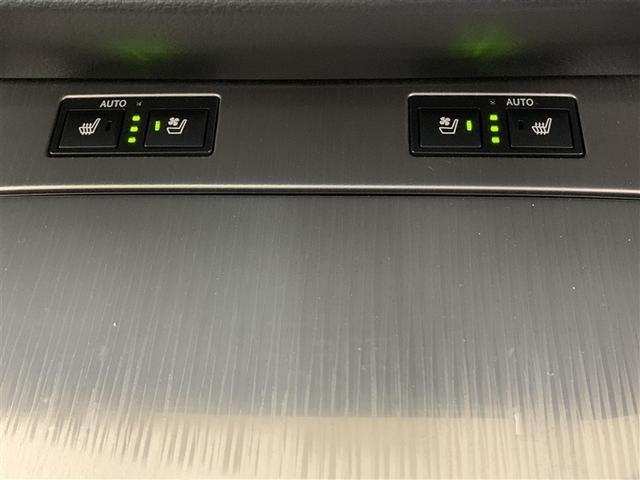 GS GS300h Fスポーツ 革シート フルセグ HDDナビ DVD再生 ミュージックプレイヤー接続可 バックカメラ ETC LEDヘッドランプ(29枚目)