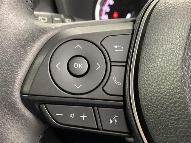 ＲＡＶ４ Ｇ　４ＷＤ　メモリーナビ　ミュージックプレイヤー接続可　バックカメラ　衝突被害軽減システム　ＥＴＣ　ドラレコ　ＬＥＤヘッドランプ（25枚目）