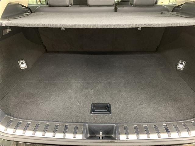 ＮＸ ＮＸ３００ｈ　バージョンＬ　革シート　４ＷＤ　フルセグ　メモリーナビ　ＤＶＤ再生　ミュージックプレイヤー接続可　バックカメラ　衝突被害軽減システム　ＥＴＣ　ＬＥＤヘッドランプ（11枚目）