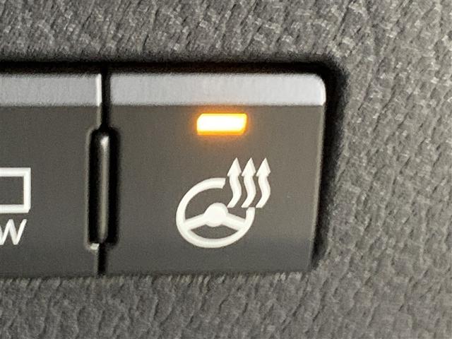 ＮＸ ＮＸ３００ｈ　バージョンＬ　革シート　４ＷＤ　フルセグ　メモリーナビ　ＤＶＤ再生　ミュージックプレイヤー接続可　バックカメラ　衝突被害軽減システム　ＥＴＣ　ＬＥＤヘッドランプ（31枚目）