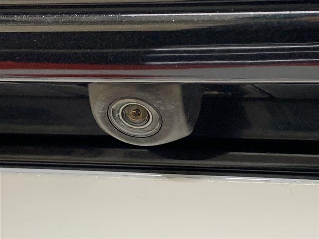 �o�b�N�J�����ł��B