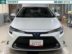 ǳǴĶˤͥϥ֥åȼ֤Ǥġ󥰥ϥ֥åɡ 2