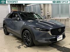 ż֤ɾ⳰ξ֤ʤɤҤܤǤ狼褦ȥ西֤Υץθ»ܤּξפѰդƤޤ 3