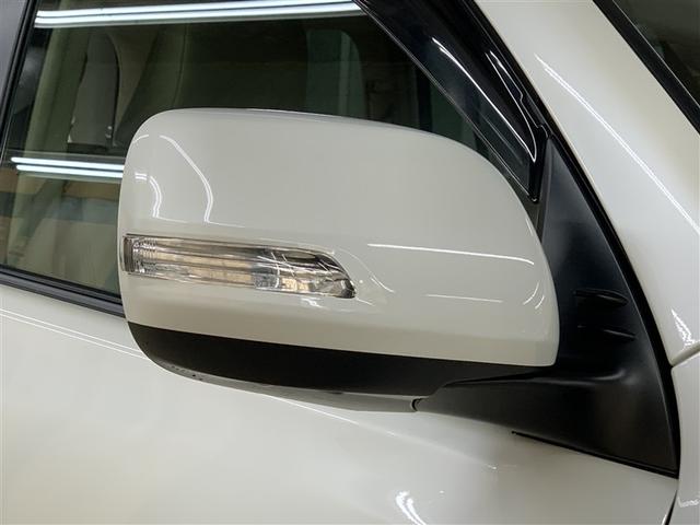 ウィンカー付きドアミラーです。おしゃれなだけでなく安全面にも寄与します。